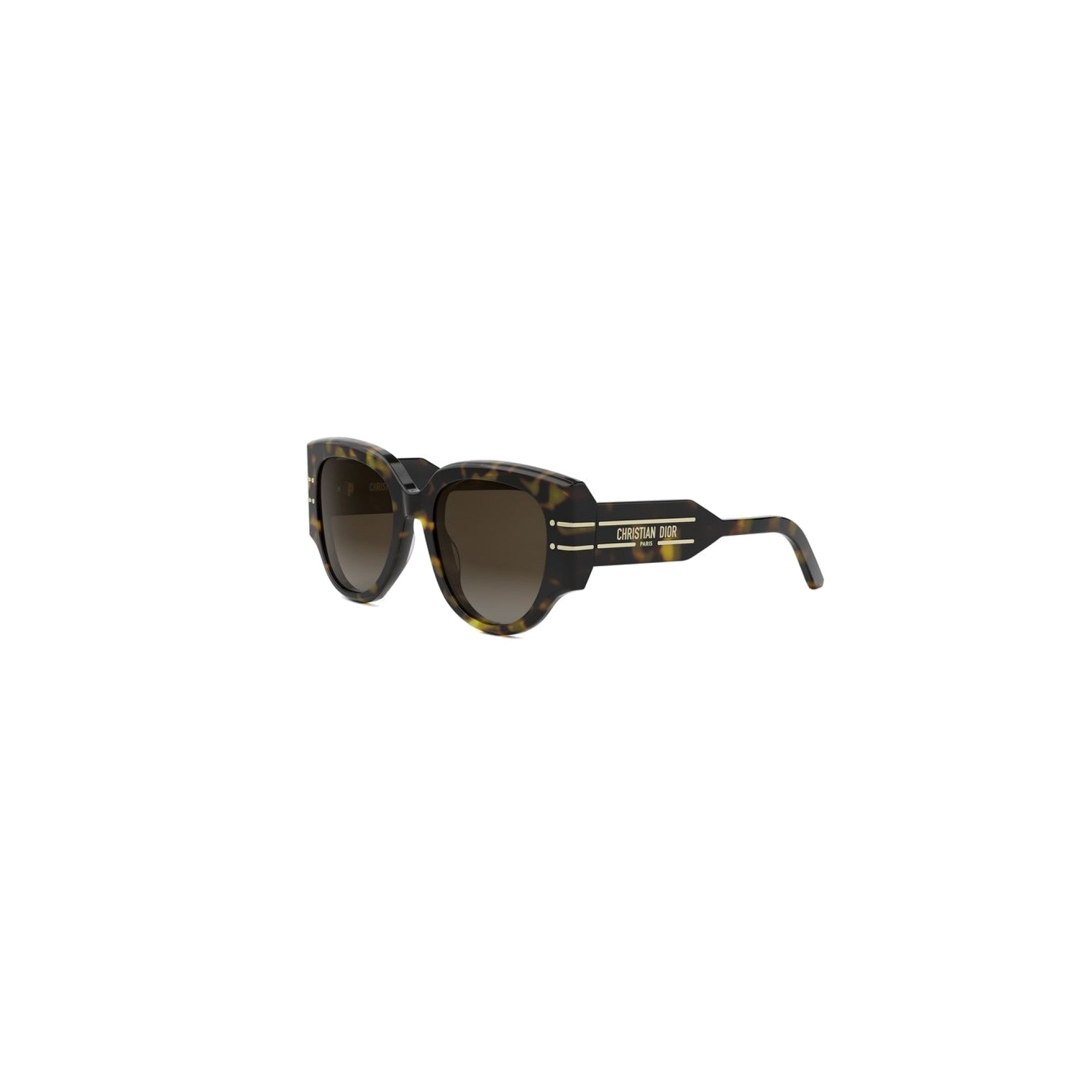 DiorSignature R2I DIOR