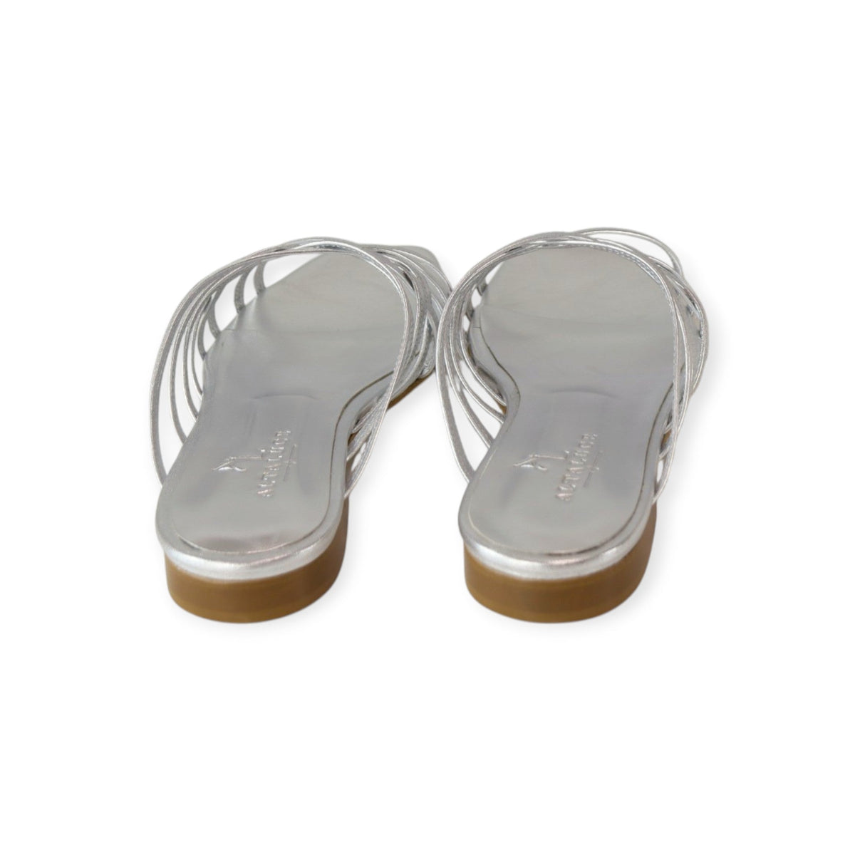 FLAT SPIDER ARGENTO