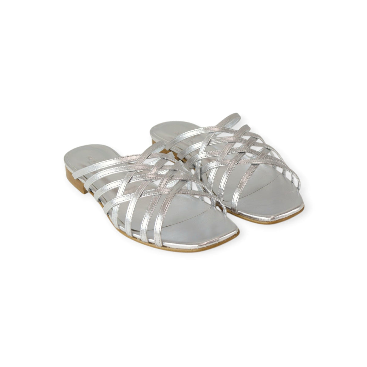FLAT SPIDER ARGENTO