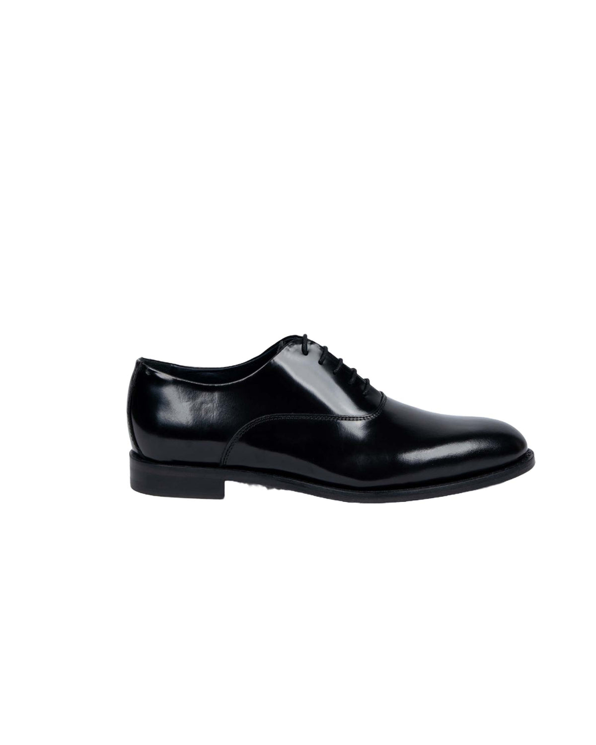 OXFORD NERI