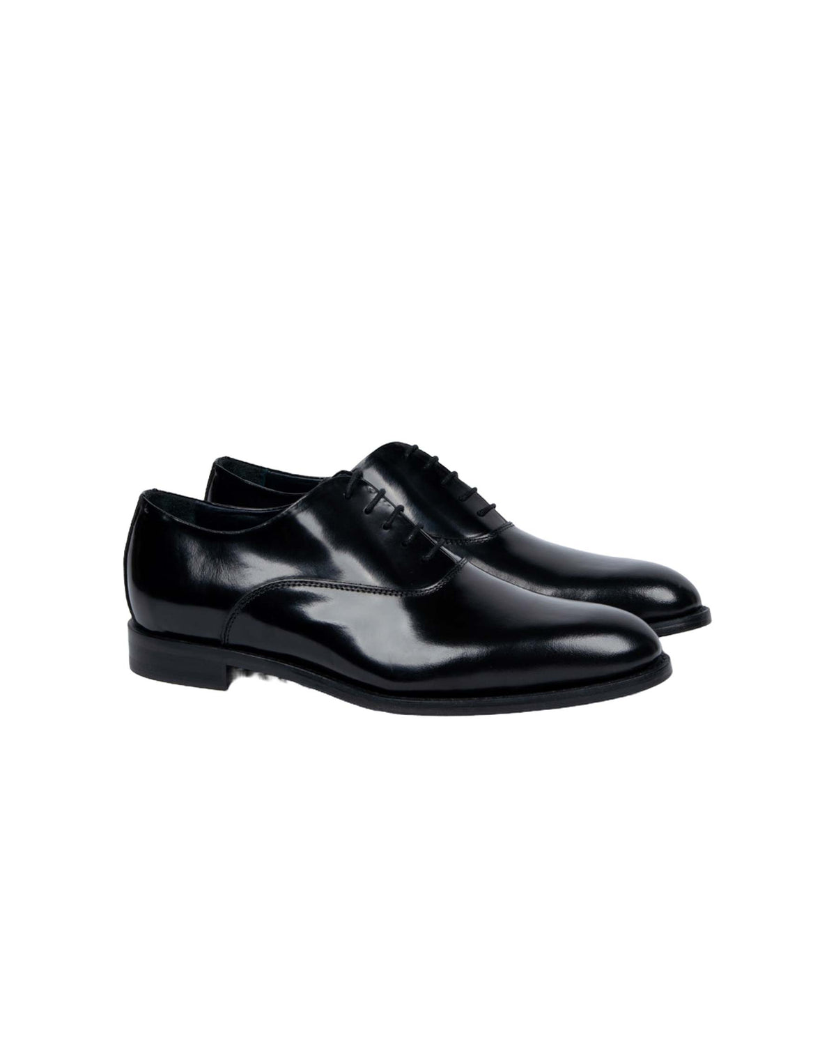 OXFORD NERI