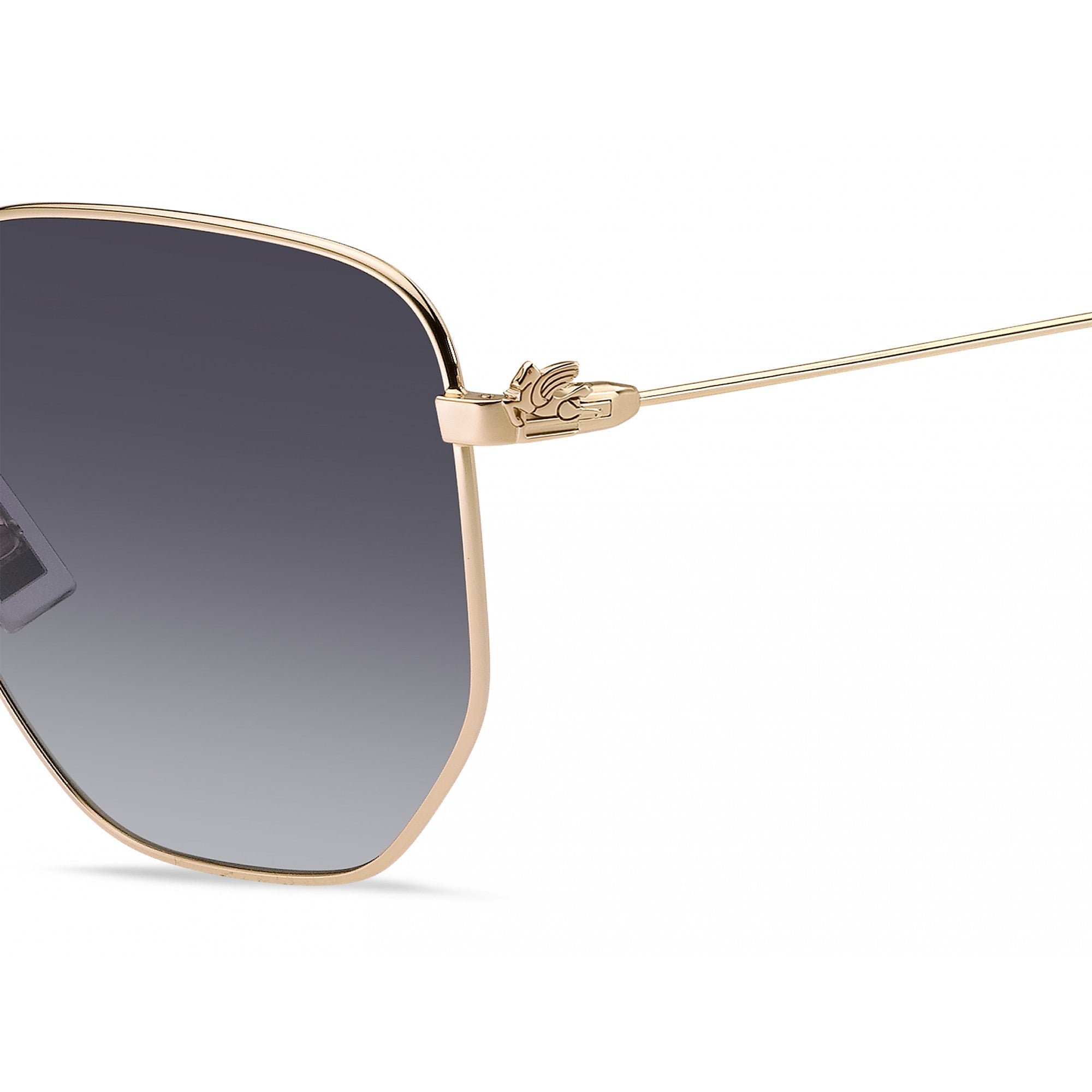 ETRO 0020/S ETRO