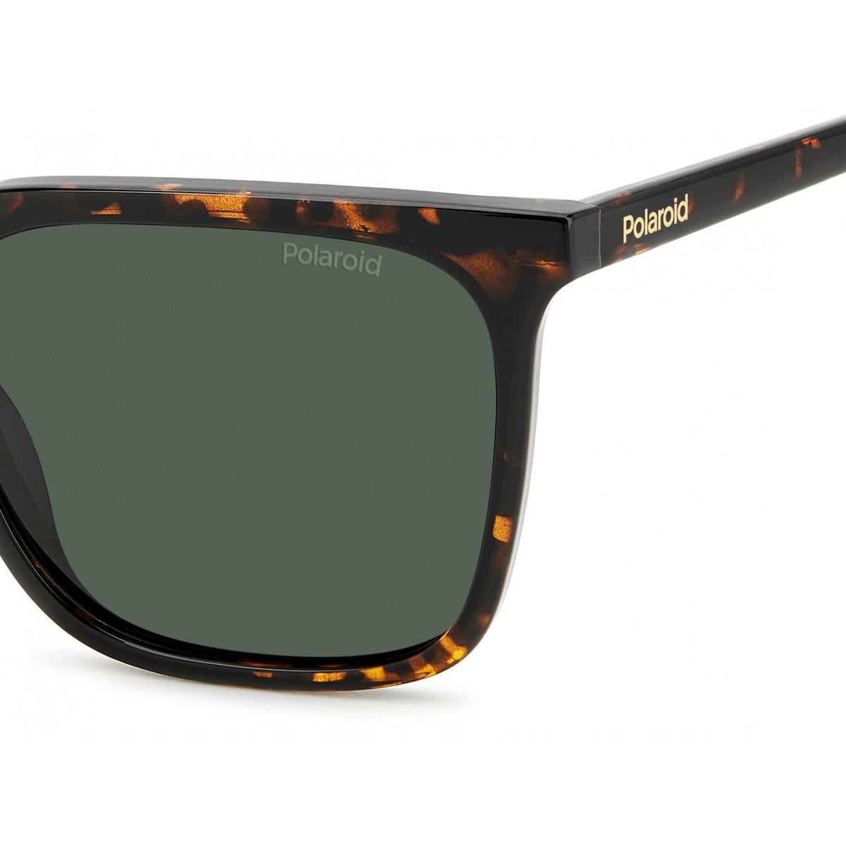 PLD 4163/S POLAROID