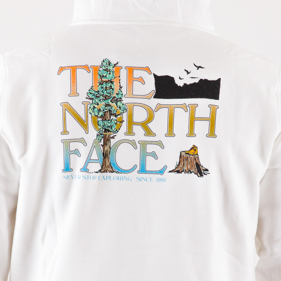The North Face Men's Seasonal Graphic Hood Hoodie NF0A7X1PN3N1 white