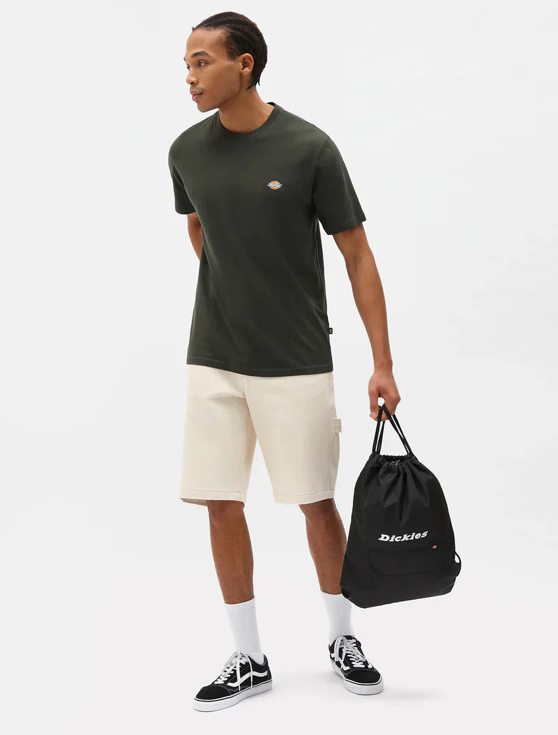 Dickies maglietta manica corta da uomo Mapleton DK0A4XDB verde oliva