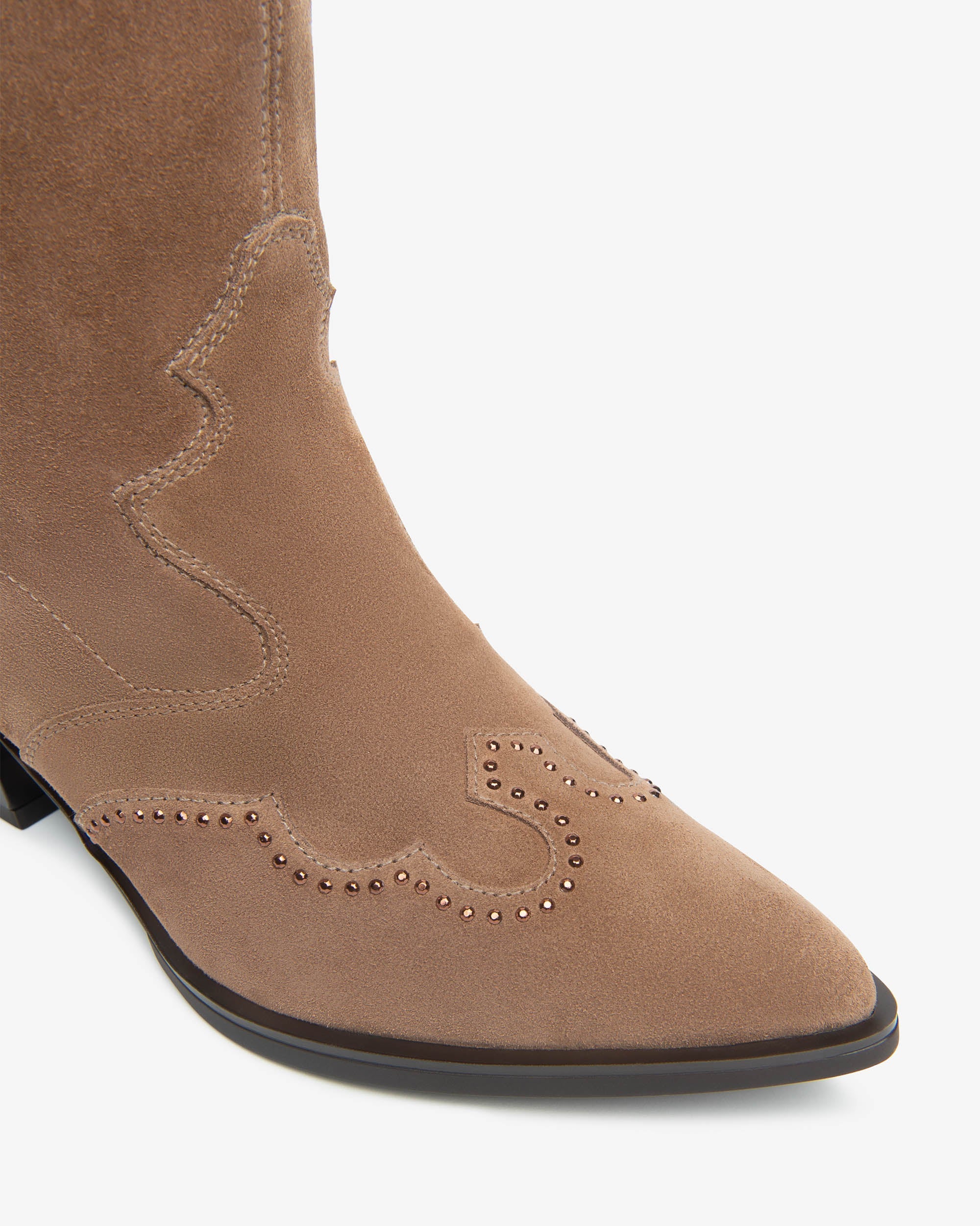 NeroGiardini Stivali Donna in Suede  I513914D-442