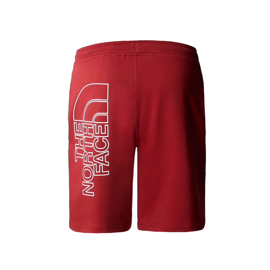 The North Face men's Graphic Light sports shorts NF0A3S4FPOJ rust