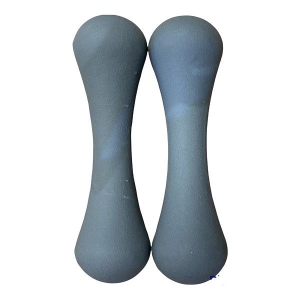 Avento Dumbbell Set 2x2kg 42DA-BLUE