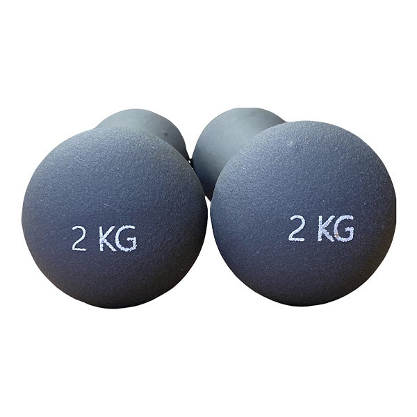 Avento Dumbbell Set 2x2kg 42DA-BLUE