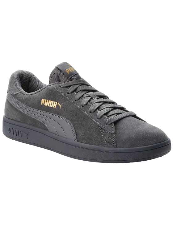 Puma men's Smash V2 sneakers 364989 17 grey