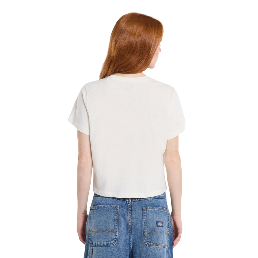 Dickies maglietta manica corta da donna Aitkin DK0A4YS8C481 beige