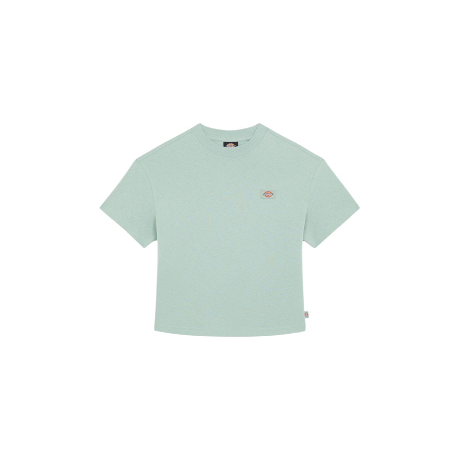 Dickies maglietta manica corta da donna Oakport DK0A4XEDBLK361 salvia