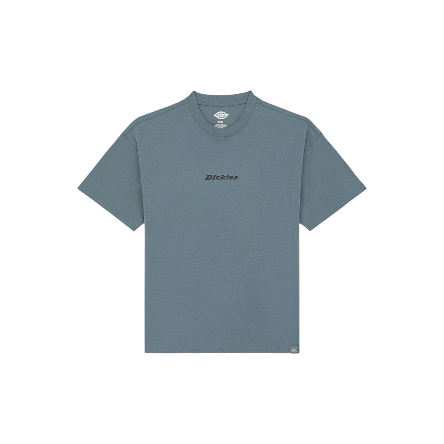 Dickies maglietta manica corta da uomo Enterprise DK0A4YRNG701 nuvole grigie