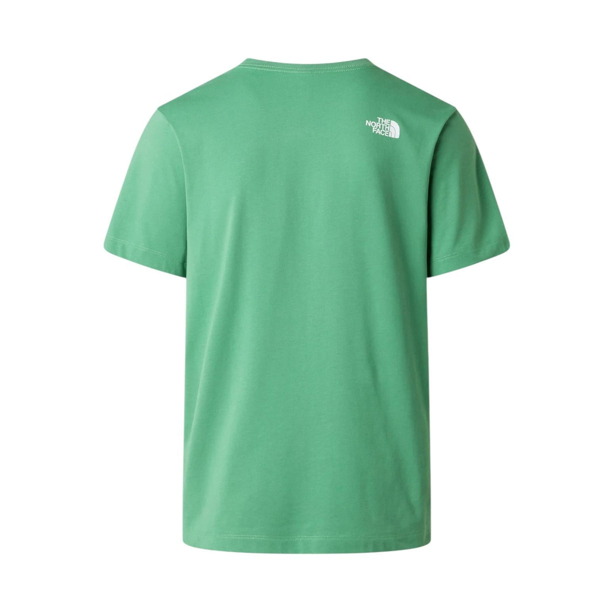 The North Face T-shirt Evolution Half Dome NF0A8B6JG57 Verde Uomo