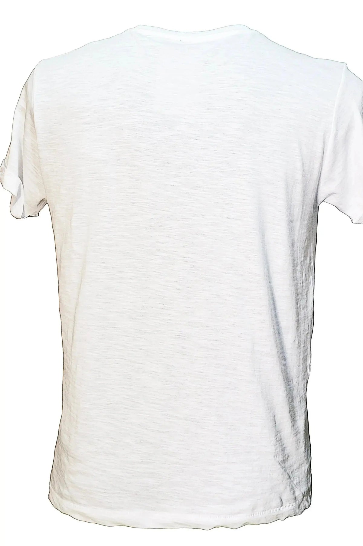 T-Shirt Einstein Tatuato Uomo - Cotone Biologico Fiammato