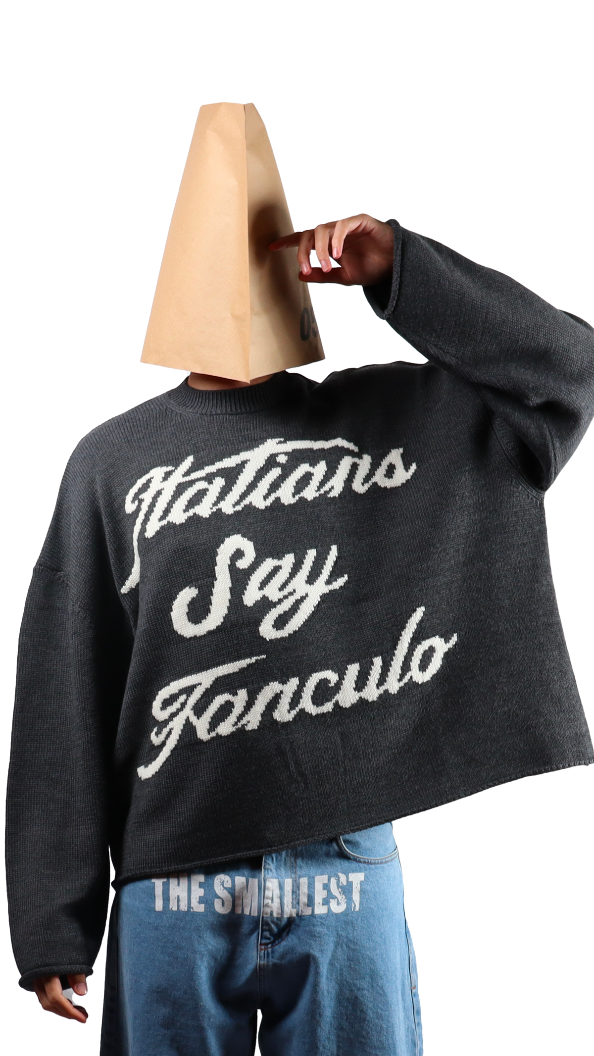 Fanc*lo Crop Sweater