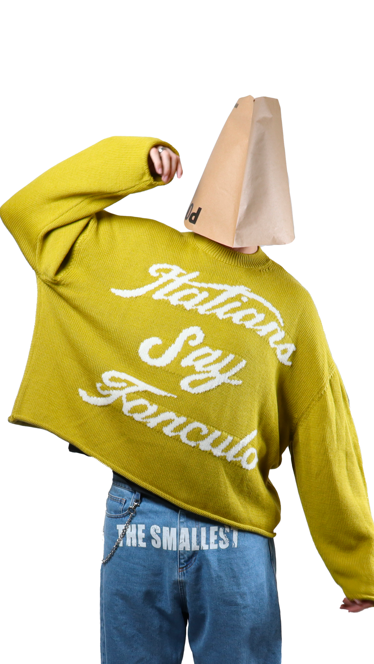 Fanc*lo Crop Sweater