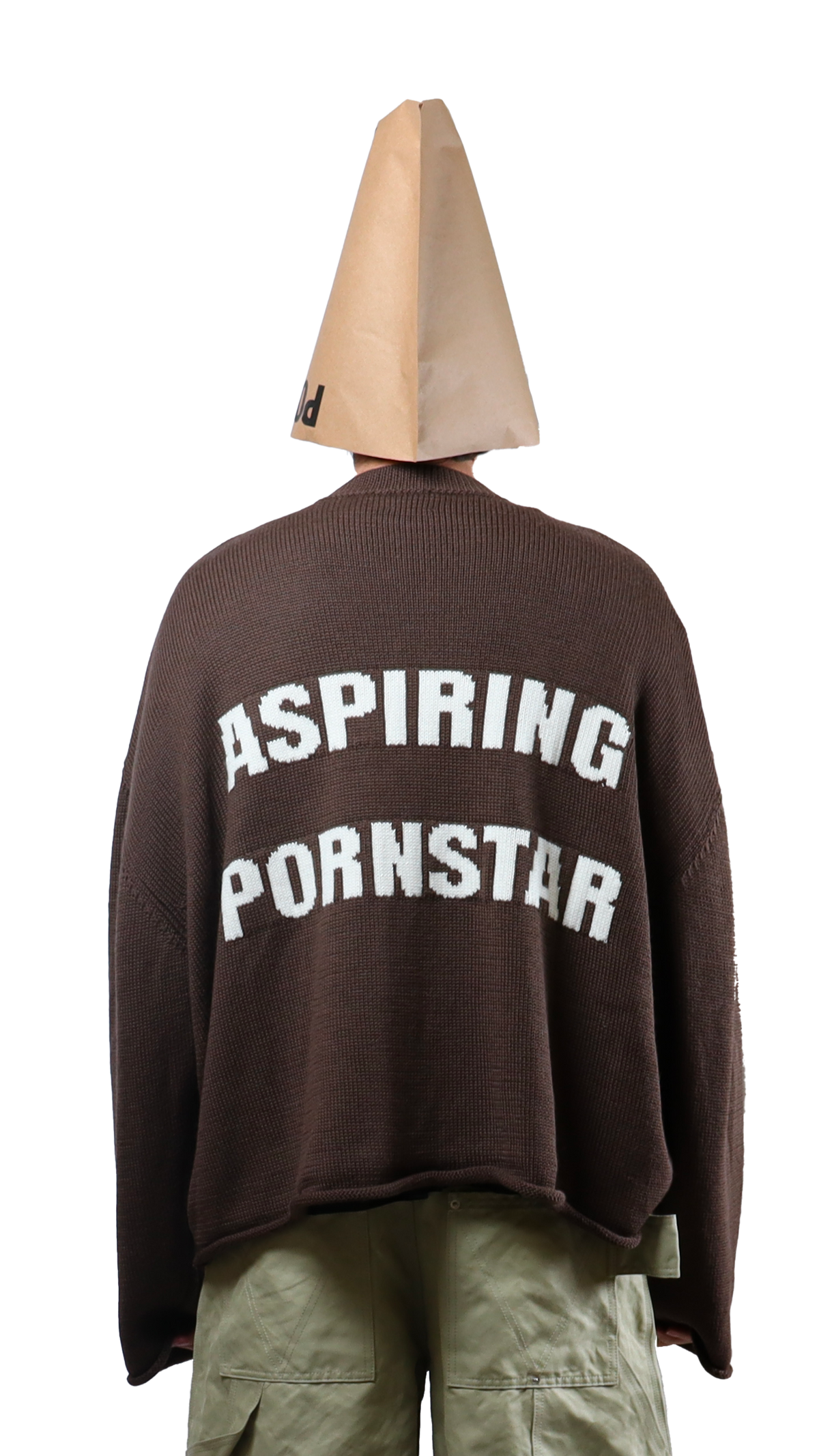 P*rnstar Crop Sweater