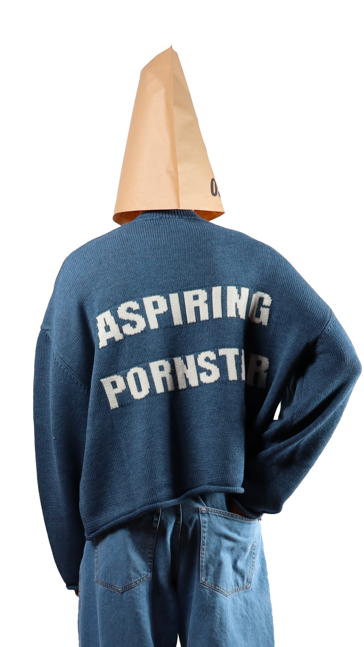 P*rnstar Crop Sweater