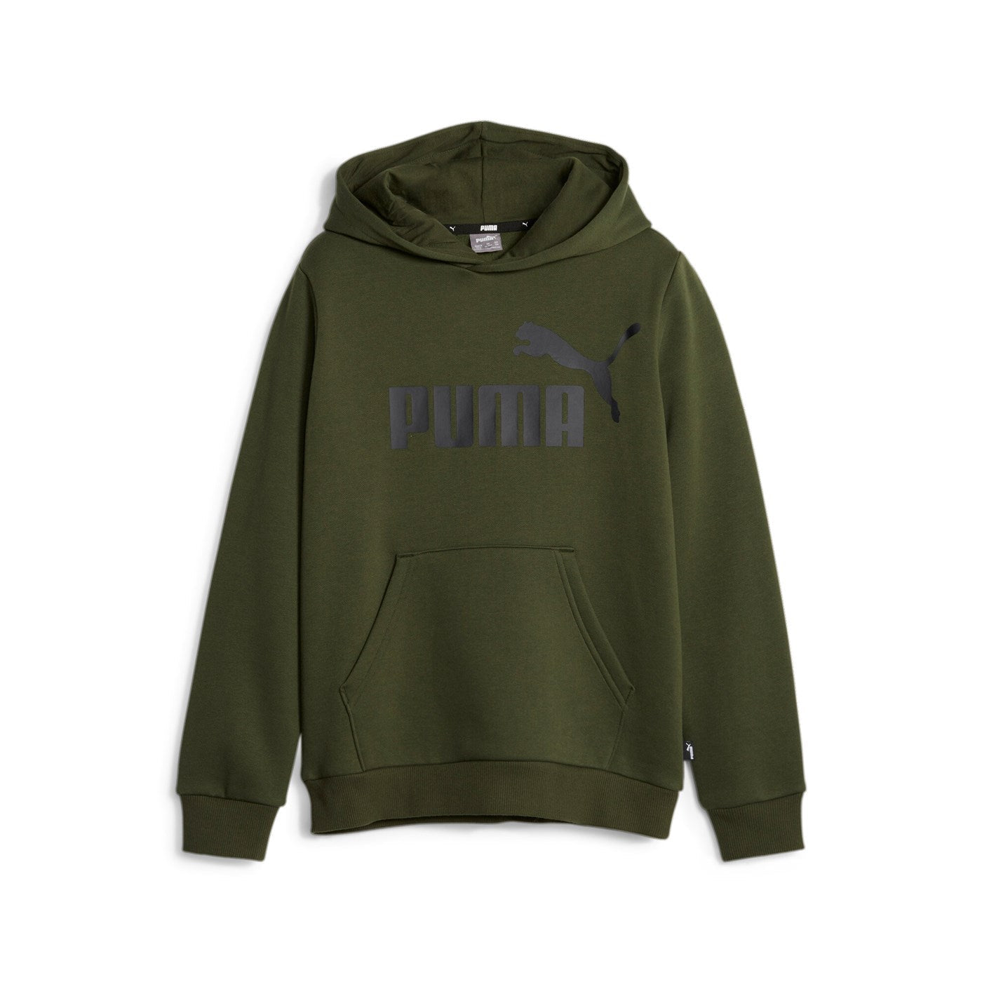 Puma Boys' Ess Big Logo Hoodie 586965-31 Myrtle