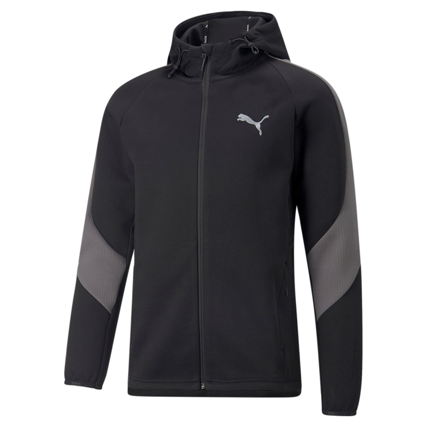 Puma Hoodie Evostripe Full-Zip Hoodie 849915 01 black