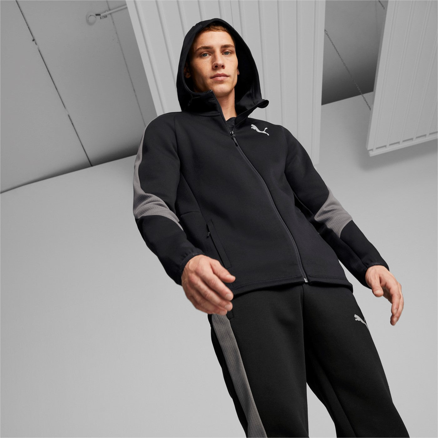 Puma Hoodie Evostripe Full-Zip Hoodie 849915 01 black