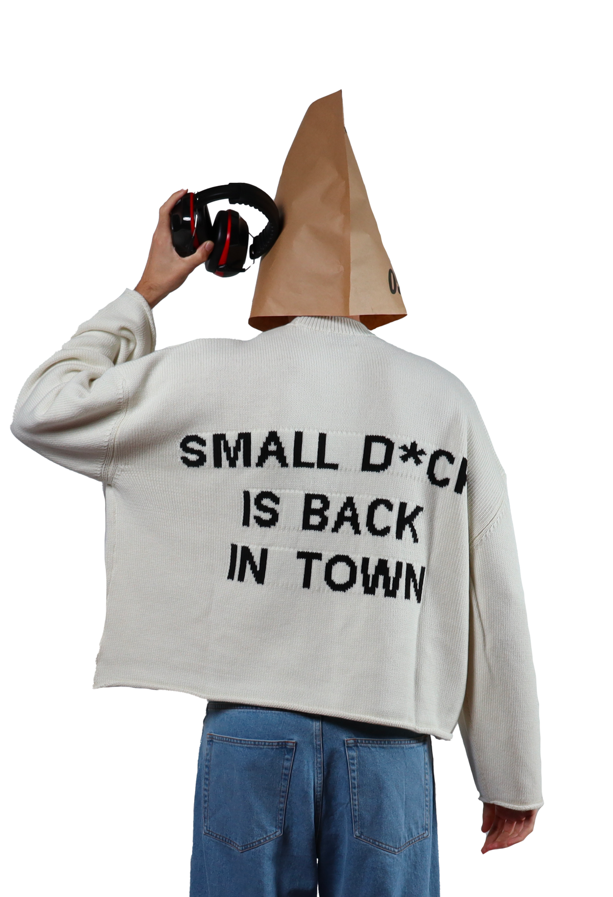 Back In Town Crop Sweater